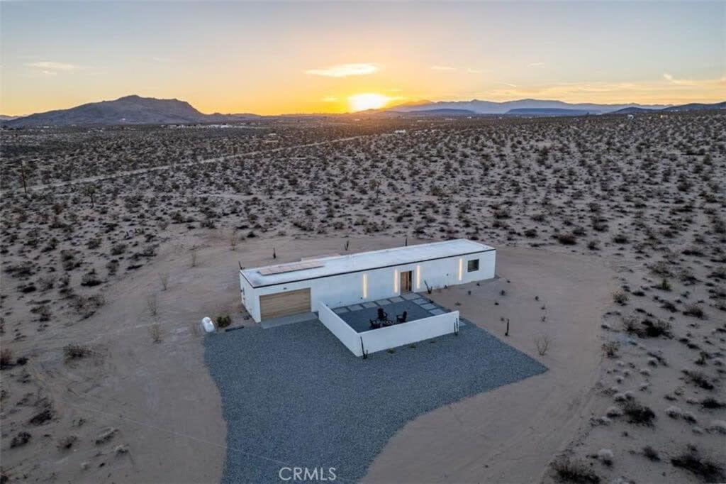 Skydweller - Modern Joshua Tree