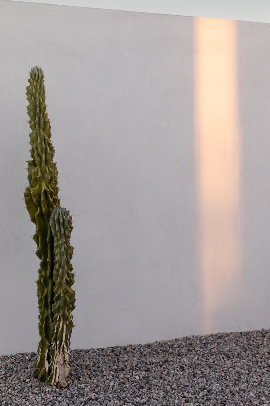 Skydweller - Modern Holiday home Joshua Tree